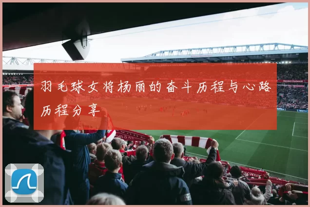 羽毛球女将杨丽的奋斗历程与心路历程分享