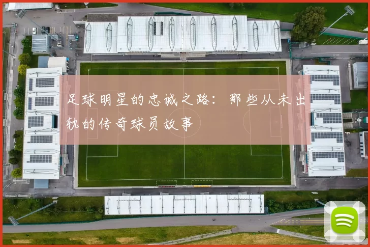 足球明星的忠诚之路：那些从未出轨的传奇球员故事