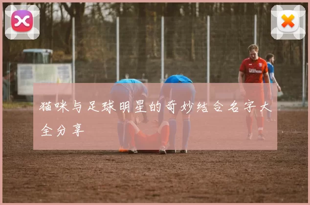猫咪与足球明星的奇妙结合名字大全分享