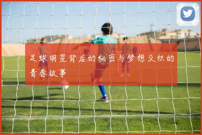 足球明星背后的秘密与梦想交织的青春故事