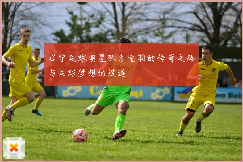 辽宁足球明星队李金羽的传奇之路与足球梦想的追逐