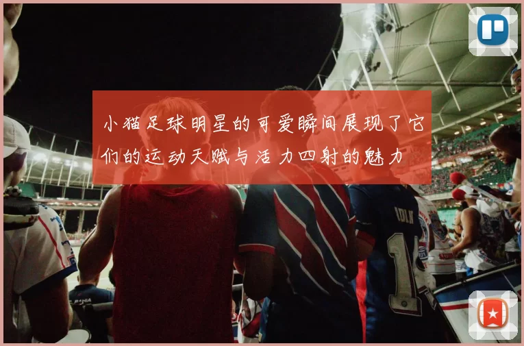 小猫足球明星的可爱瞬间展现了它们的运动天赋与活力四射的魅力