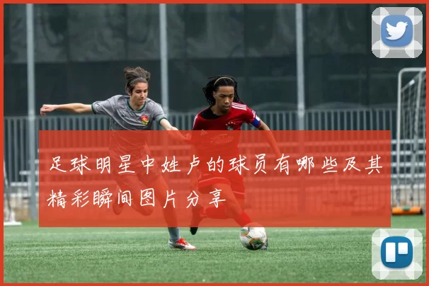 足球明星中姓卢的球员有哪些及其精彩瞬间图片分享