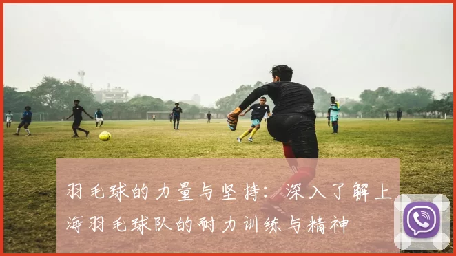 羽毛球的力量与坚持：深入了解上海羽毛球队的耐力训练与精神